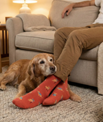 Load image into Gallery viewer, Men's Midcalf Socks - Did Good | Old Doggies
