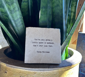 Marble Coaster - You're Only Given