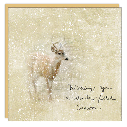 CM Cards - Holiday | Wonder Filled