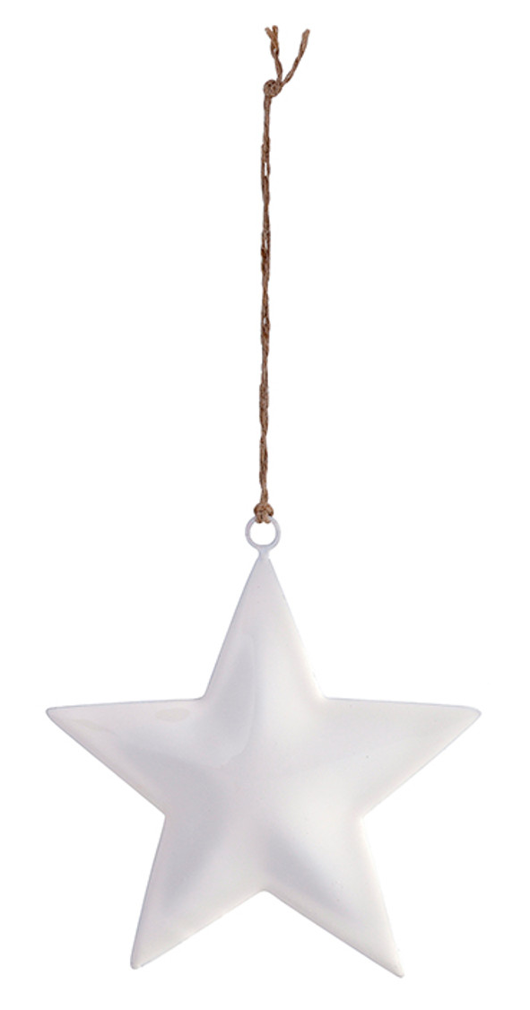 Ornament - Enamel Star Medium