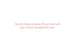 Load image into Gallery viewer, Holiday Boxed Card Set - Winter Sunset s/20
