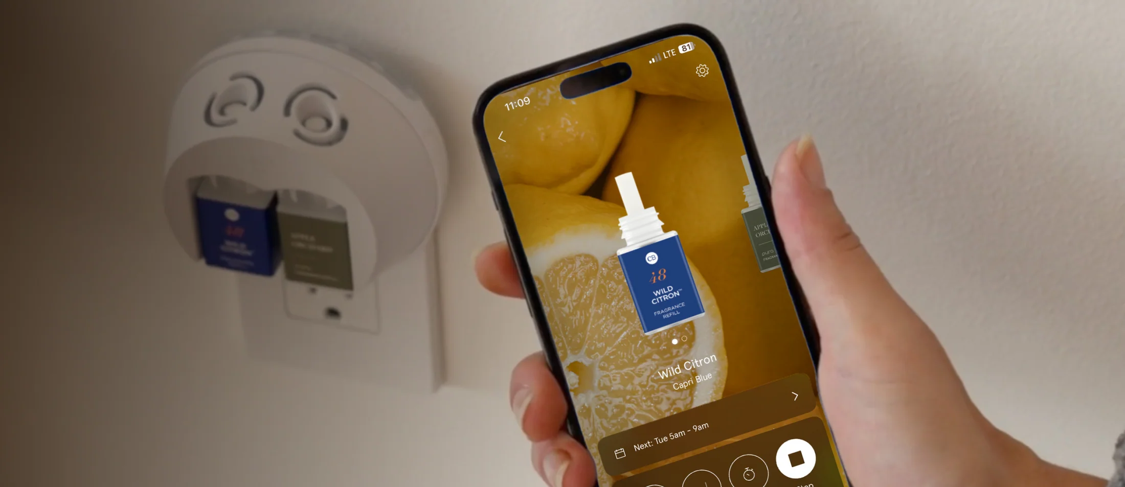 Thymes Frasier Fir - Pura Diffuser Kit V4