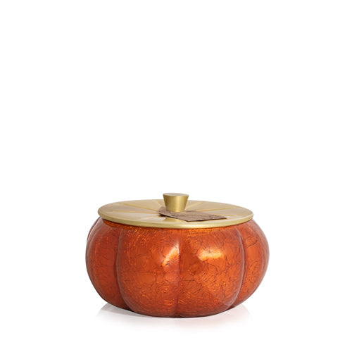 Thymes Pumpkin Laurel - Poured Candle 15oz