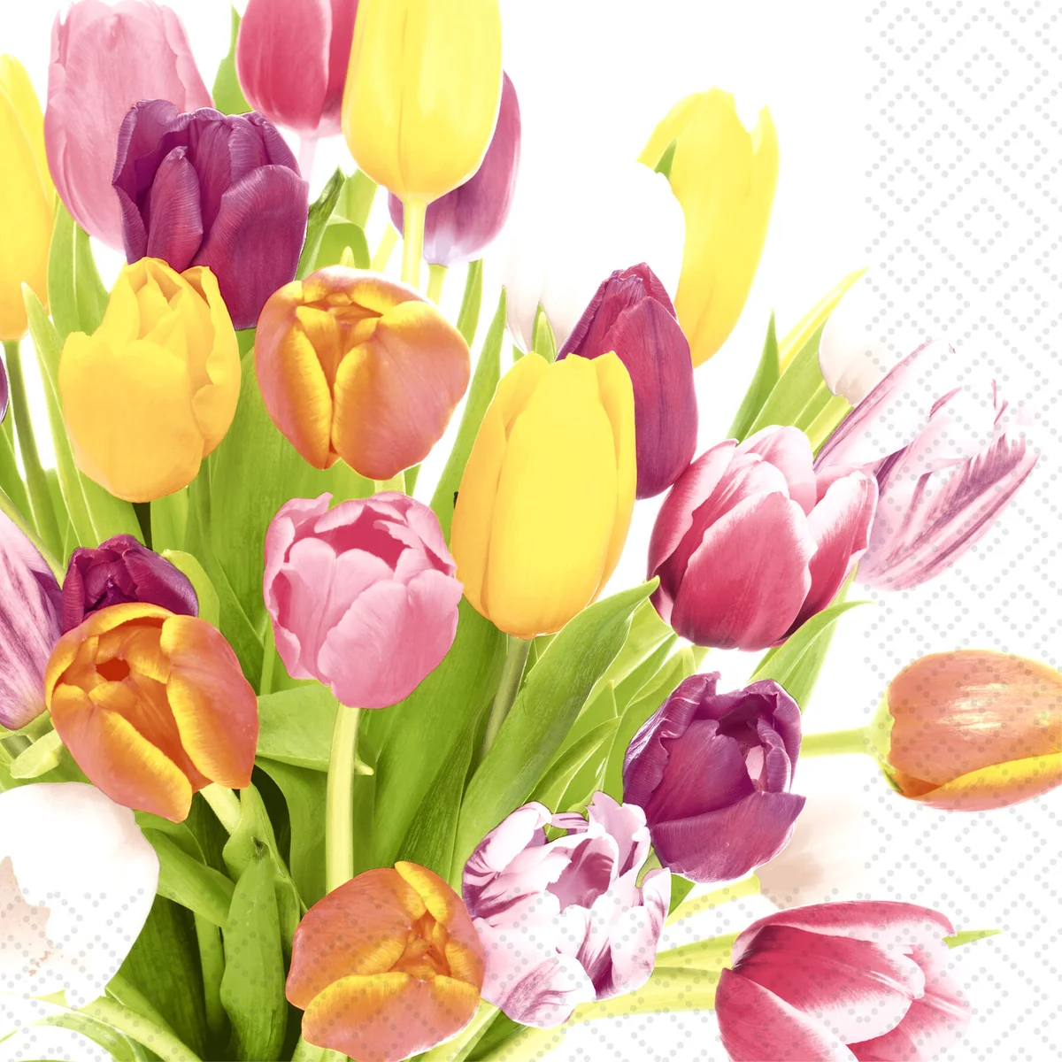 Cocktail Napkin - Beautiful Tulips