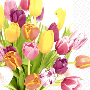 Cocktail Napkin - Beautiful Tulips