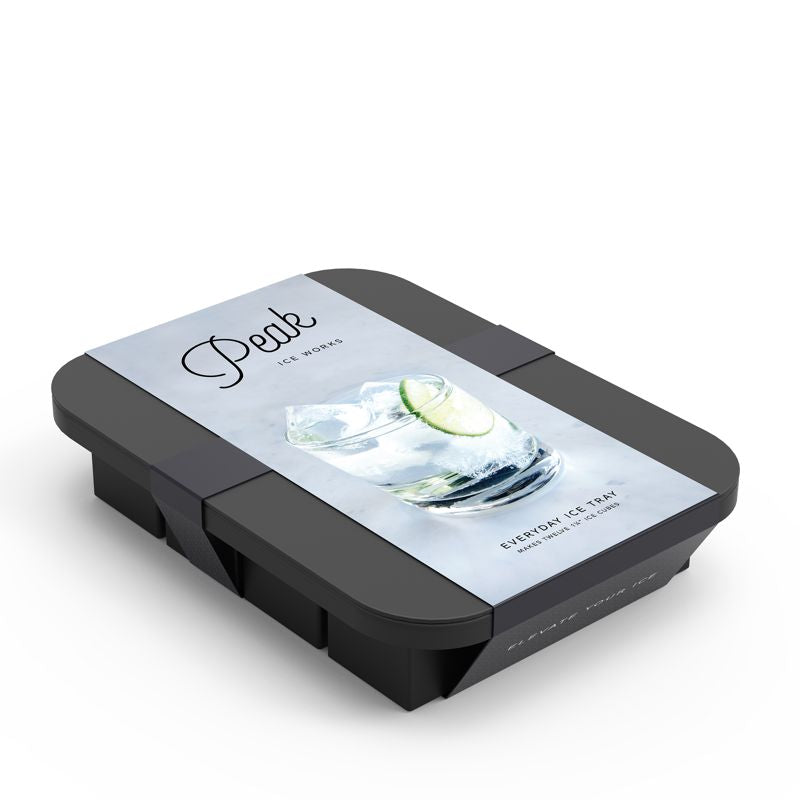 W&P Design Ice Tray - Everyday Charcoal