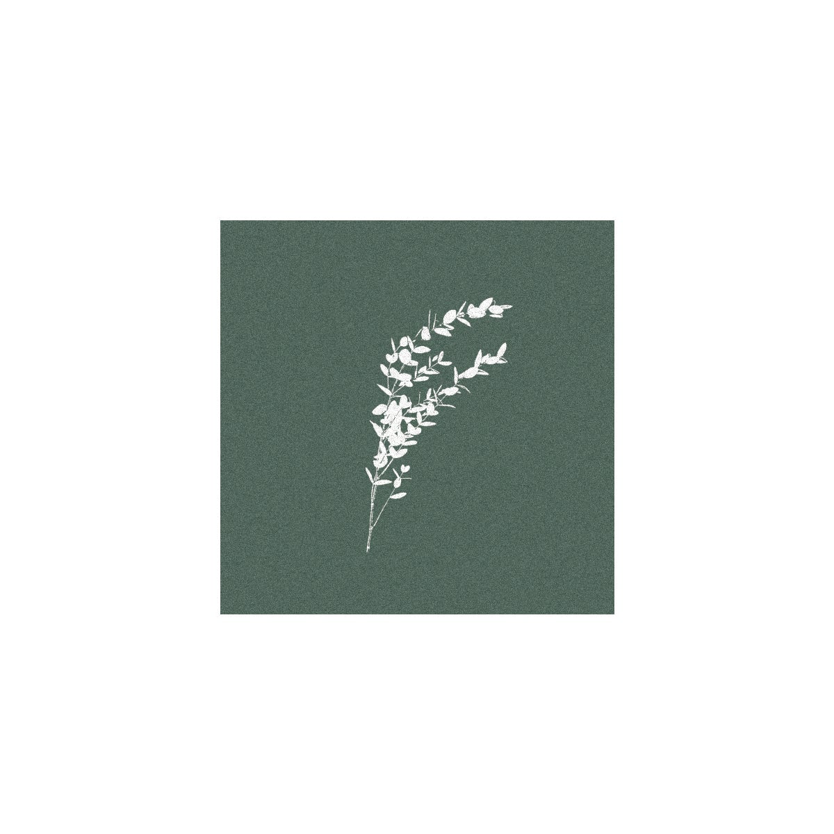 Paviot Dinner Napkin - Eucalyptus Cinera