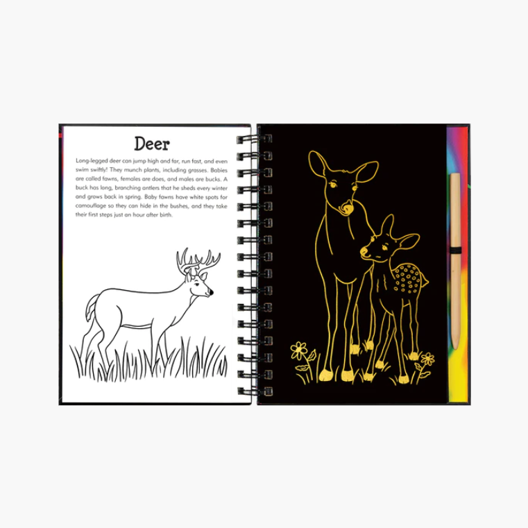 Scratch & Sketch - Forest Friends