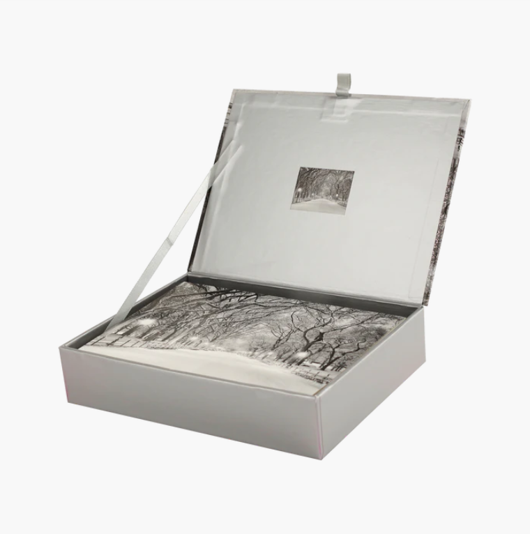 Holiday Boxed Card Set - Lights of the Season s/20