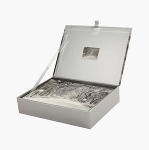 Holiday Boxed Card Set - Lights of the Season s/20