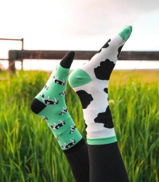 Women's Crew Socks - Cow Spot