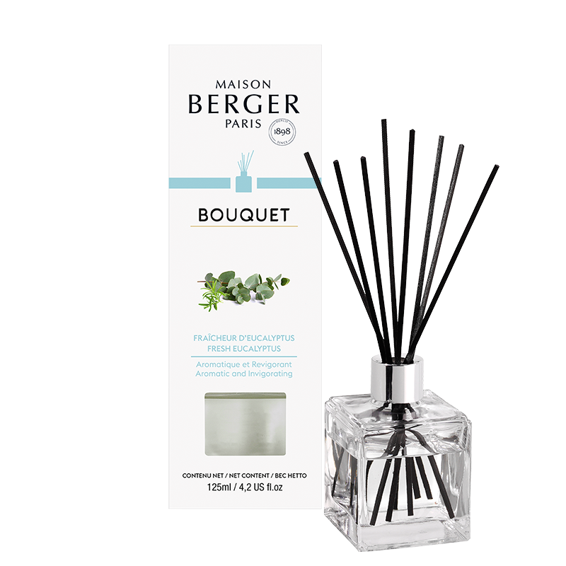 Maison Berger Diffuser - Fresh Eucalyptus