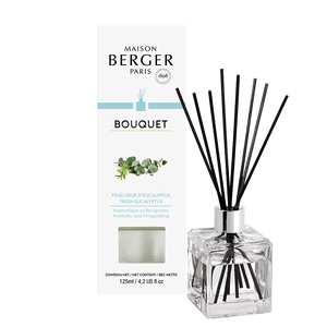 Maison Berger Diffuser - Fresh Eucalyptus