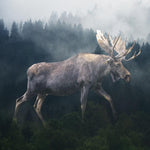 Load image into Gallery viewer, Marble Coaster - Forest Moose
