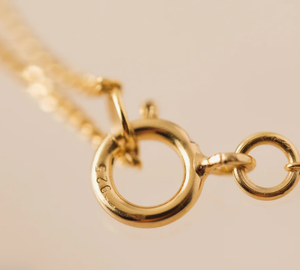 Demi-Fine Necklace - Gold Mini Curb