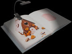 Load image into Gallery viewer, Moonbeam Reading Light - Clip On
