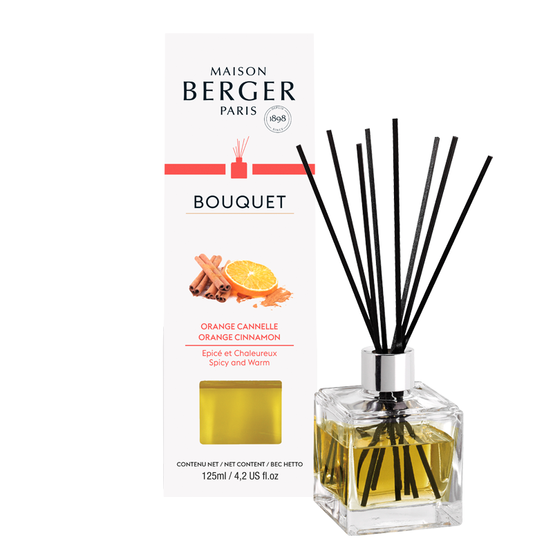 Maison Berger Diffuser - Orange Cinnamon