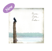 Marble Coaster - Pause, Look, Listen