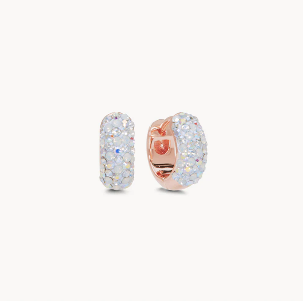H&B Sparkle Hoops - Snowflake LE
