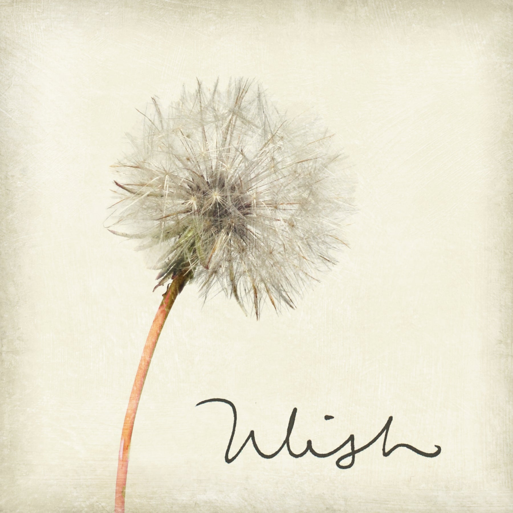 Marble Coaster - Wish