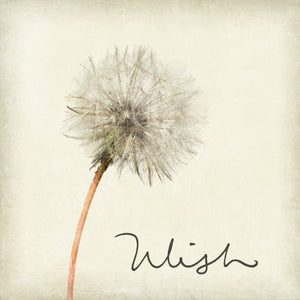 Marble Coaster - Wish